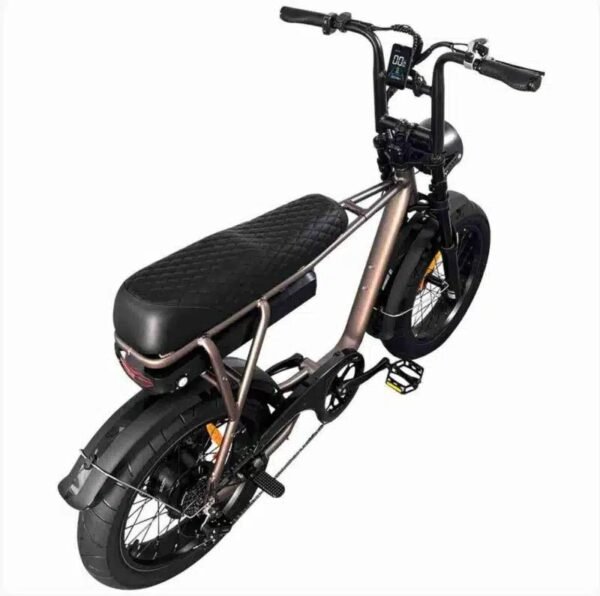 EB2 - Fatbike - Koffie - Afbeelding 2